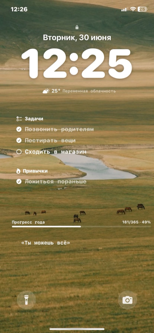 Экран блокировки с фото степи, задачами и привычками